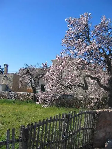 Auberge de jeunesse Casa De La Vida à Santanyí